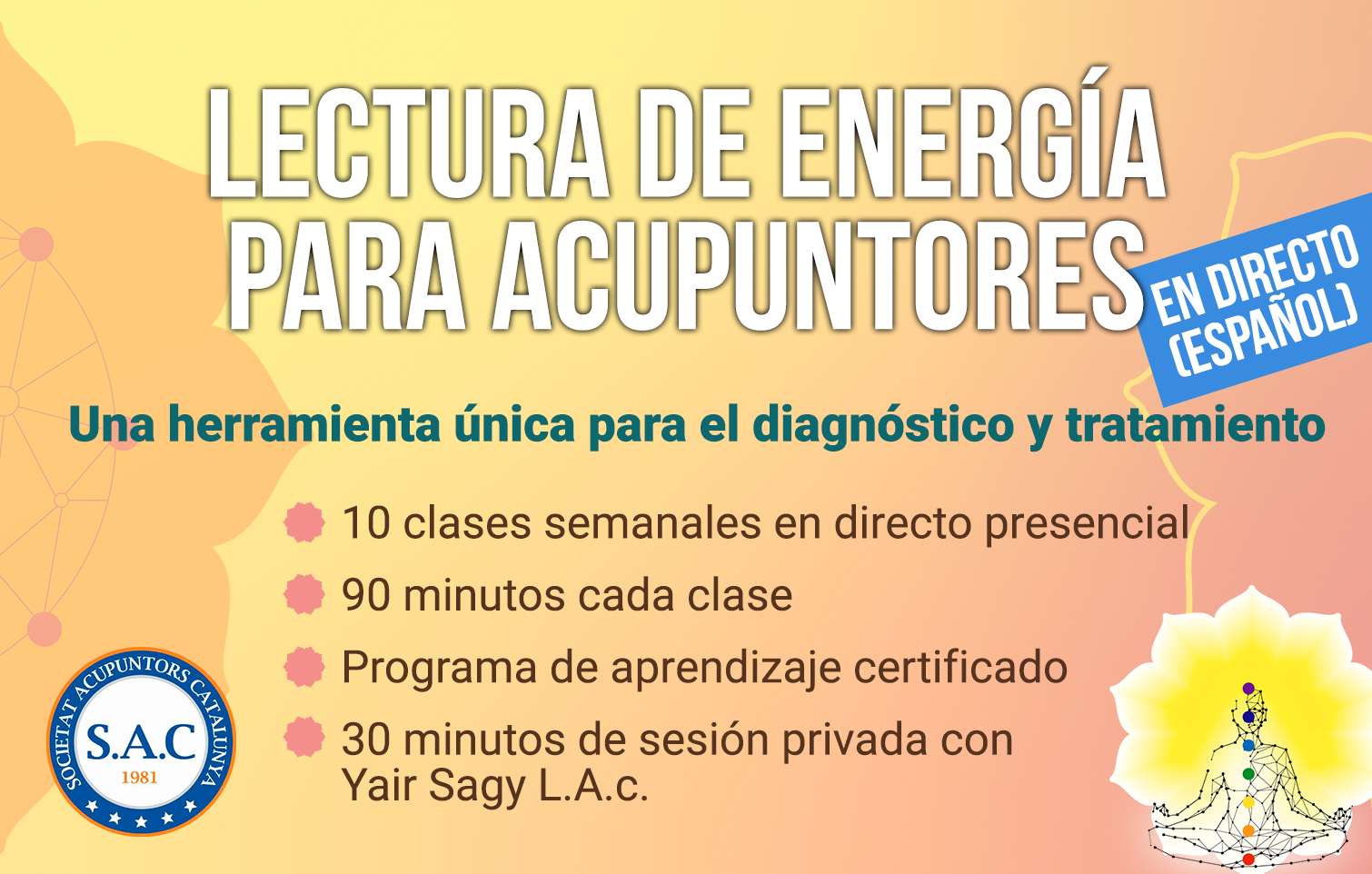 Lectura-de-Energía-para-Acupuntores-v3