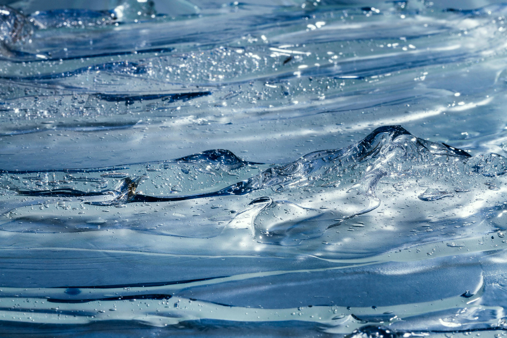 Ebb and Flow: Life, Energy, and Natural Rhythms